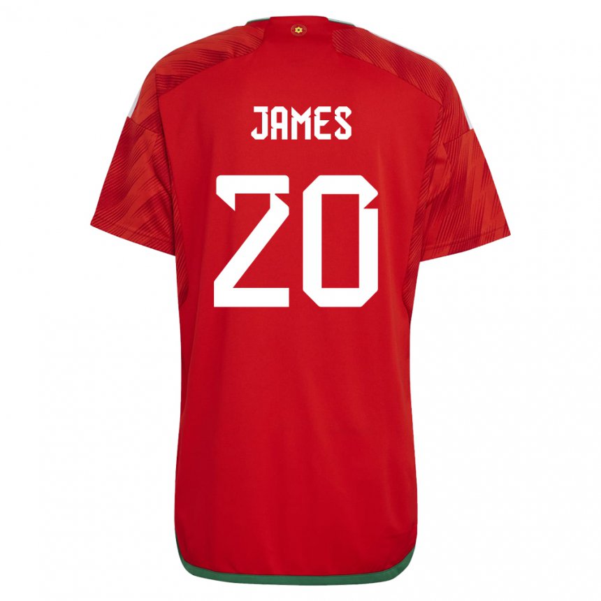 Niño Camiseta Gales Daniel James #20 Rojo 1ª Equipación 22-24 La Camisa