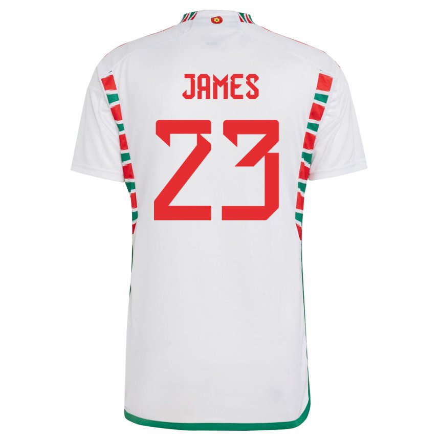 Niño Camiseta Gales Jordan James #23 Blanco 2ª Equipación 22-24 La Camisa