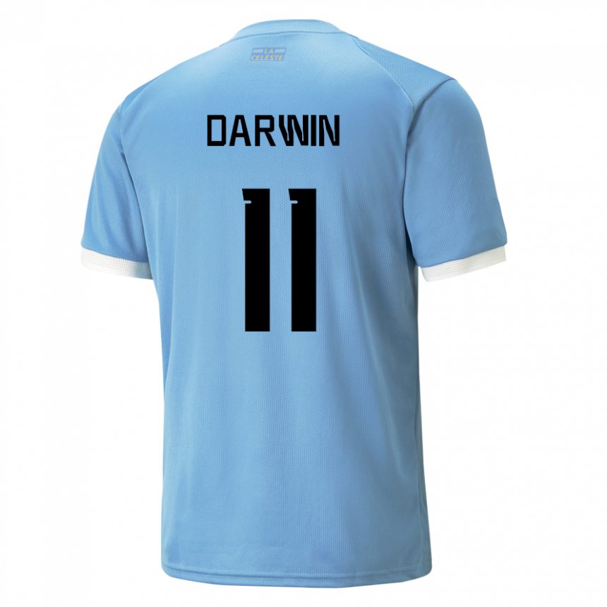 Mujer Camiseta Uruguay Darwin Nunez #11 Azul 1ª Equipación 22-24 La Camisa