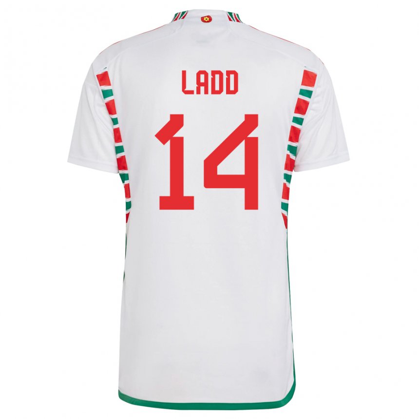Niño Camiseta Gales Hayley Ladd #14 Blanco 2ª Equipación 22-24 La Camisa