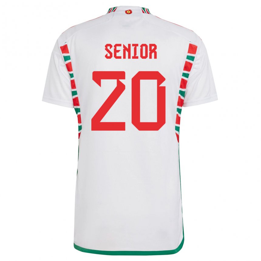 Hombre Camiseta Gales Matt Senior #20 Blanco 2ª Equipación 22-24 La Camisa