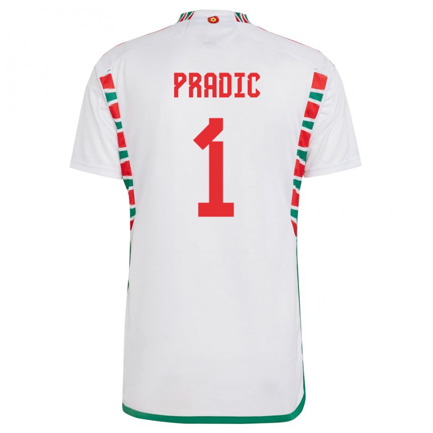 Mujer Camiseta Gales James Pradic #1 Blanco 2ª Equipación 22-24 La Camisa