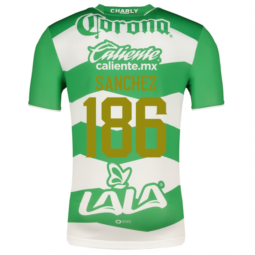 Niño Camiseta David Sánchez #186 Verde 1ª Equipación 2023/24 La Camisa