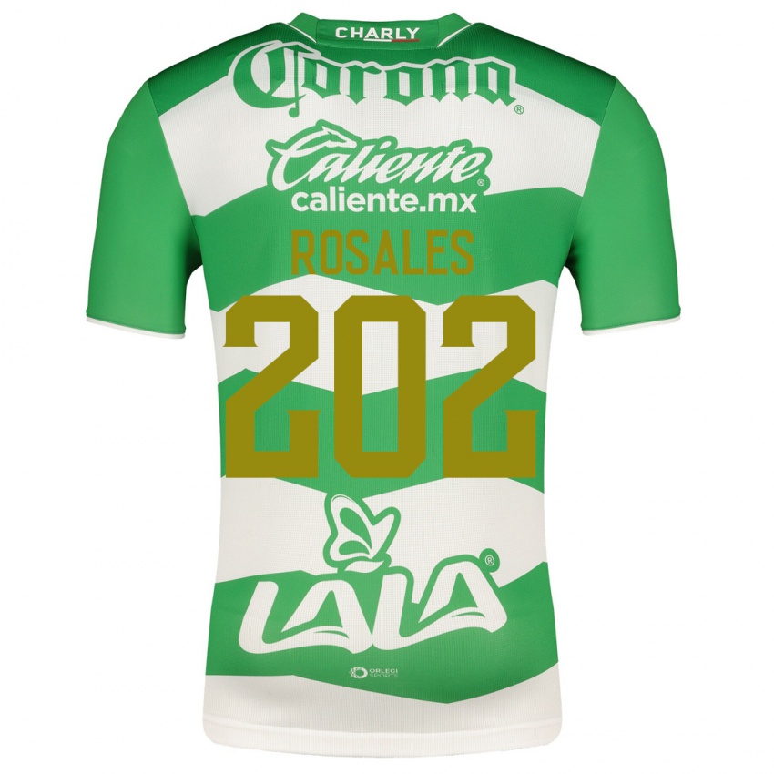 Niño Camiseta Luis Rosales #202 Verde 1ª Equipación 2023/24 La Camisa
