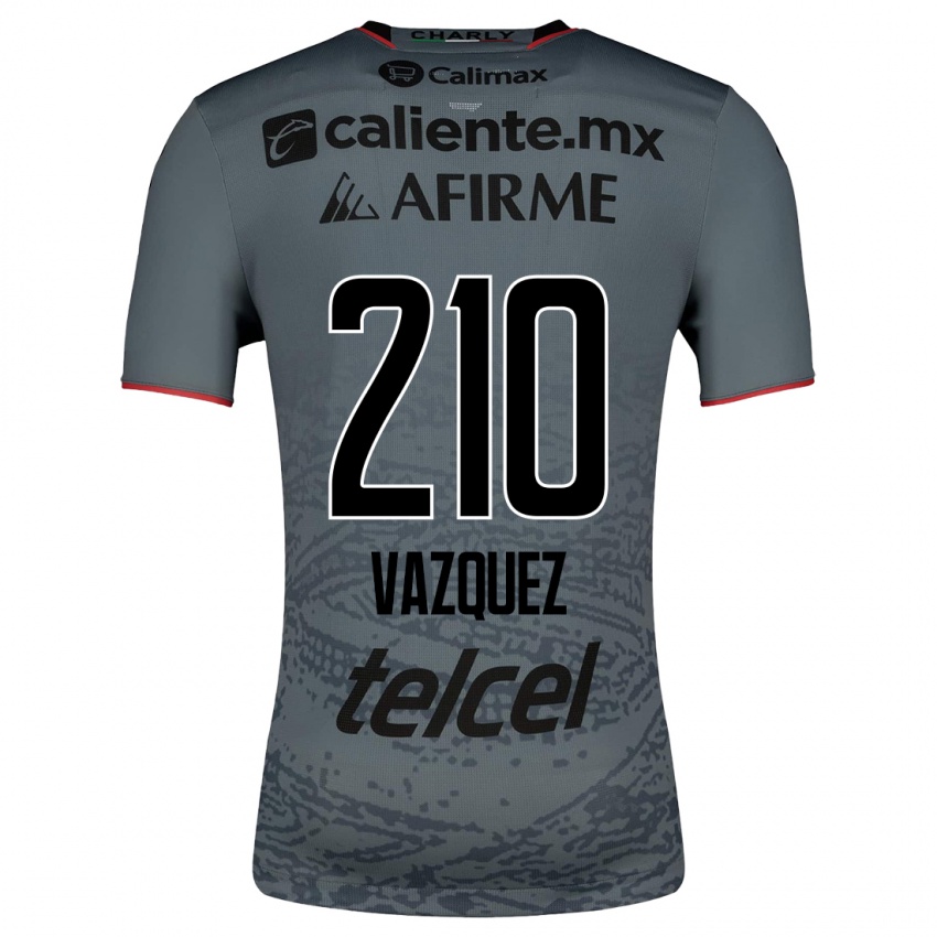 Hombre Camiseta Daniel Vázquez #210 Gris 2ª Equipación 2023/24 La Camisa