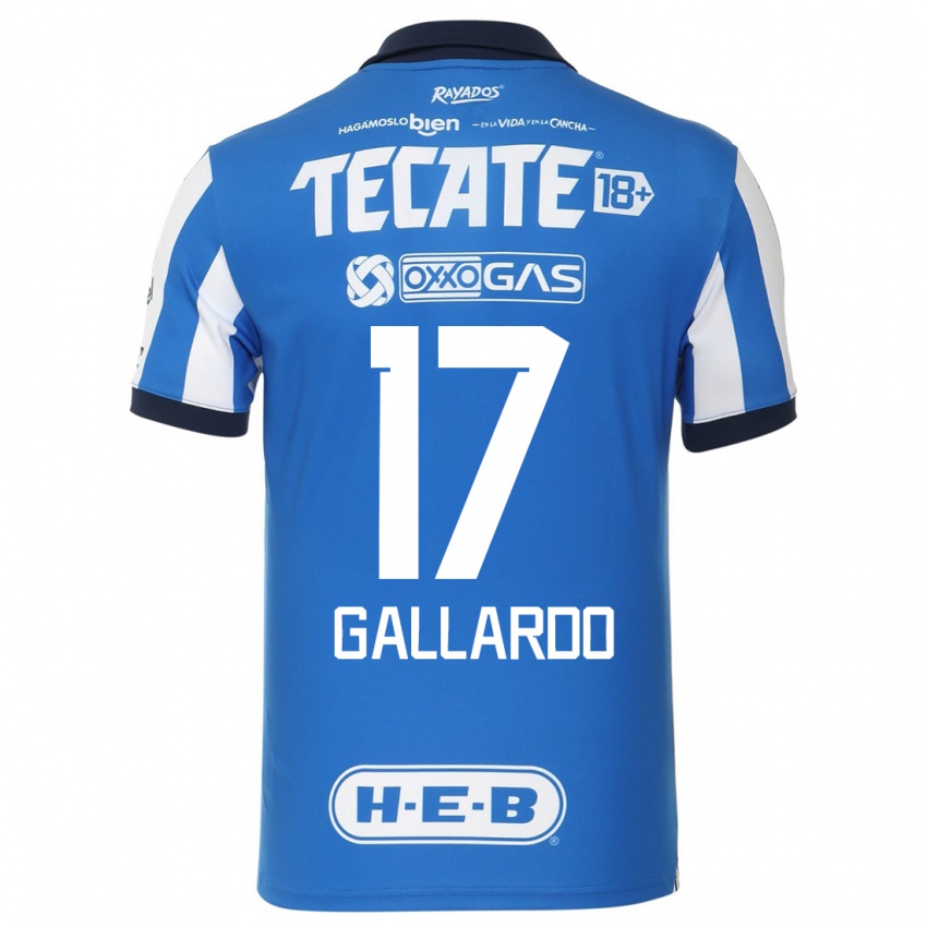 Niño Camiseta Jesús Gallardo #17 Azul Blanco 1ª Equipación 2023/24 La Camisa
